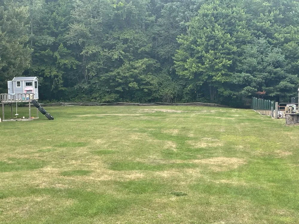 4112 W Sanilac Road Juniata Township, MI 48768