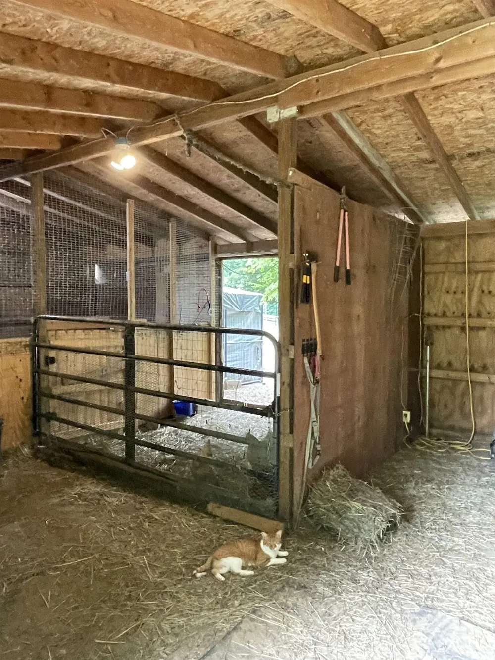 4112 W Sanilac Road Juniata Township, MI 48768