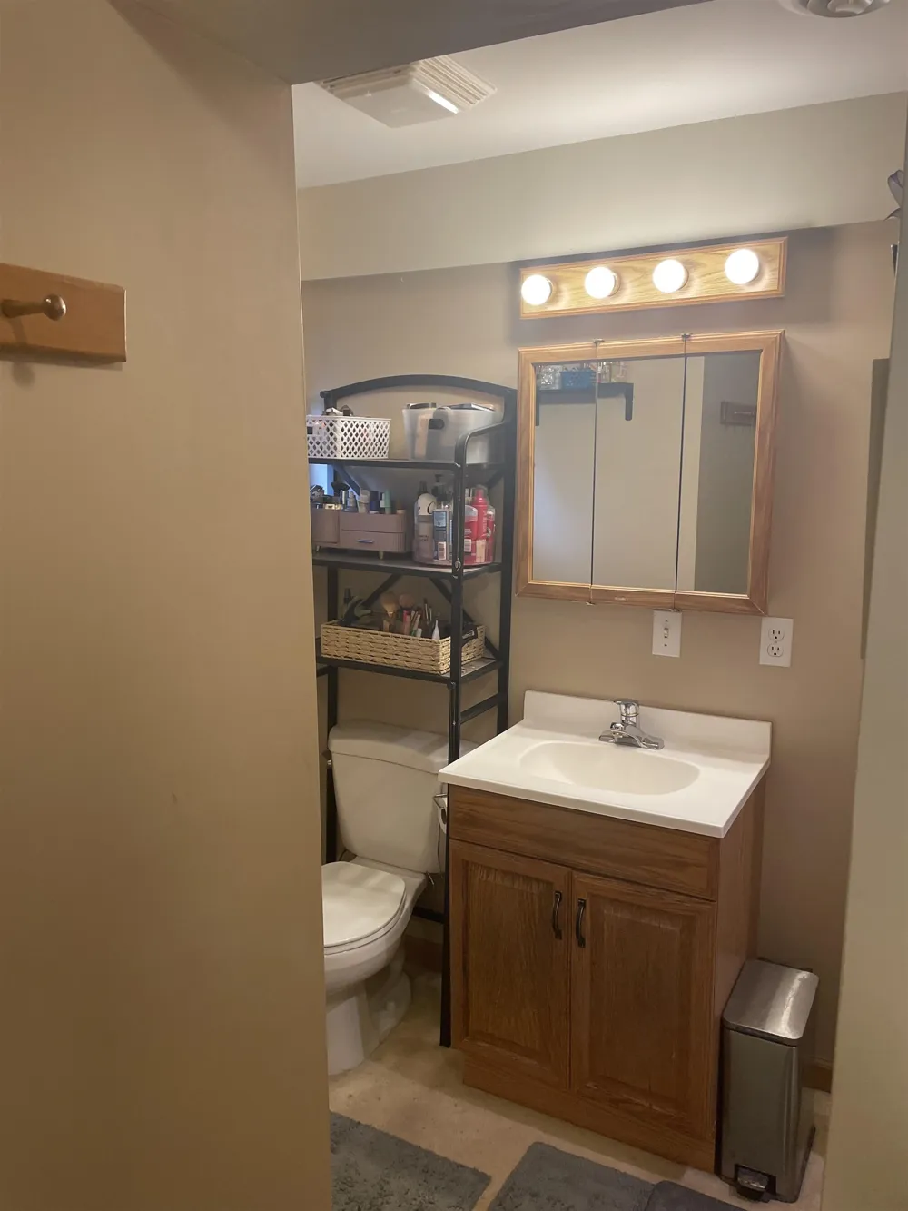 4112 W Sanilac Road Juniata Township, MI 48768