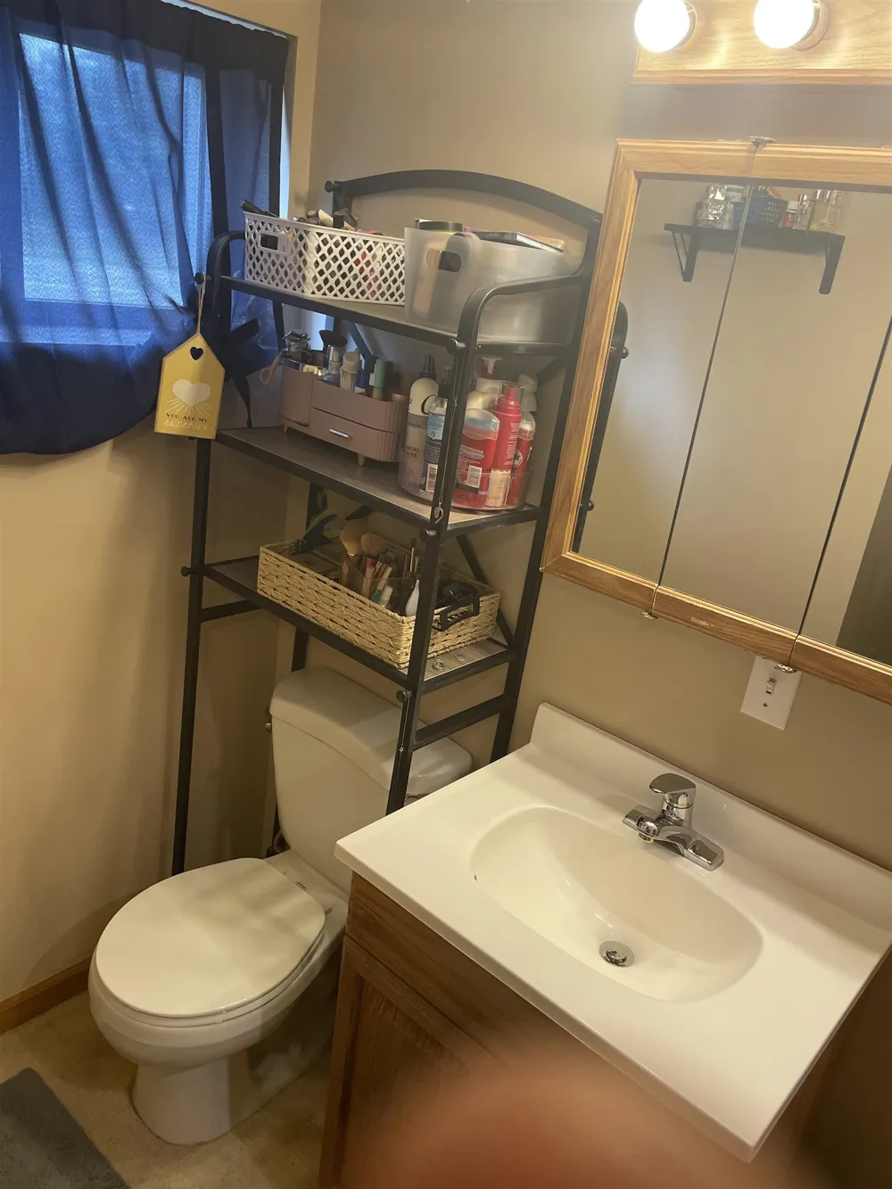 4112 W Sanilac Road Juniata Township, MI 48768