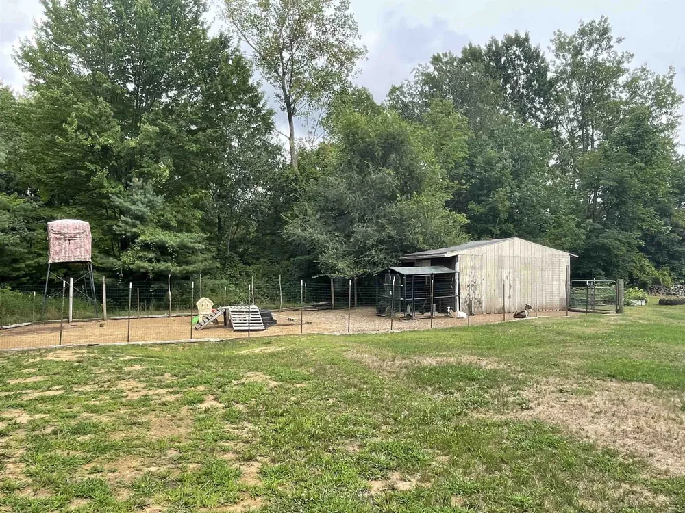 4112 W Sanilac Road Juniata Township, MI 48768