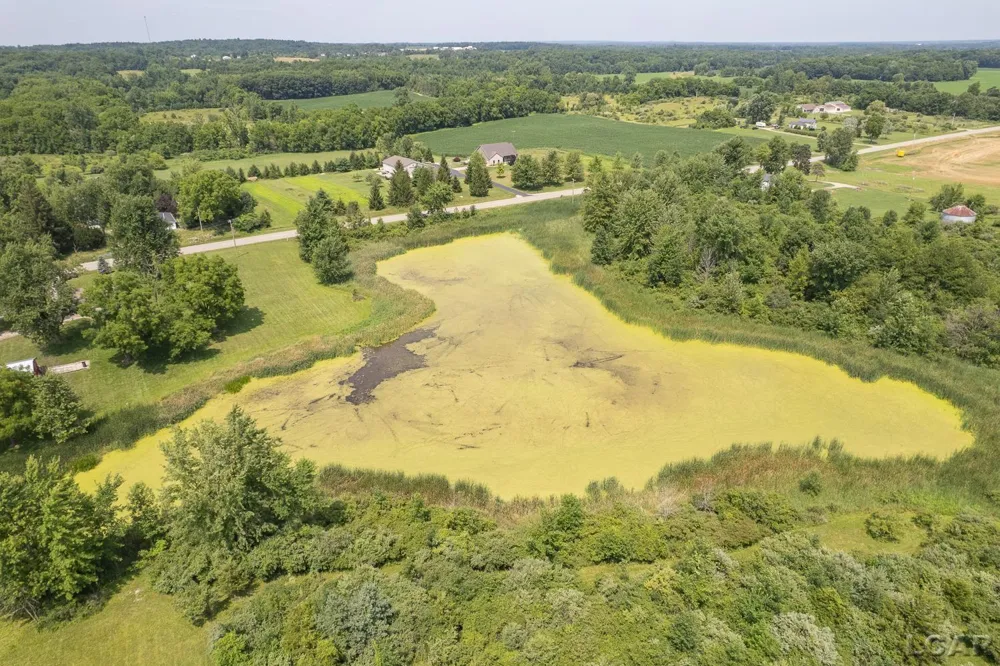 12895 Forrister Road Clayton Village, MI 49235