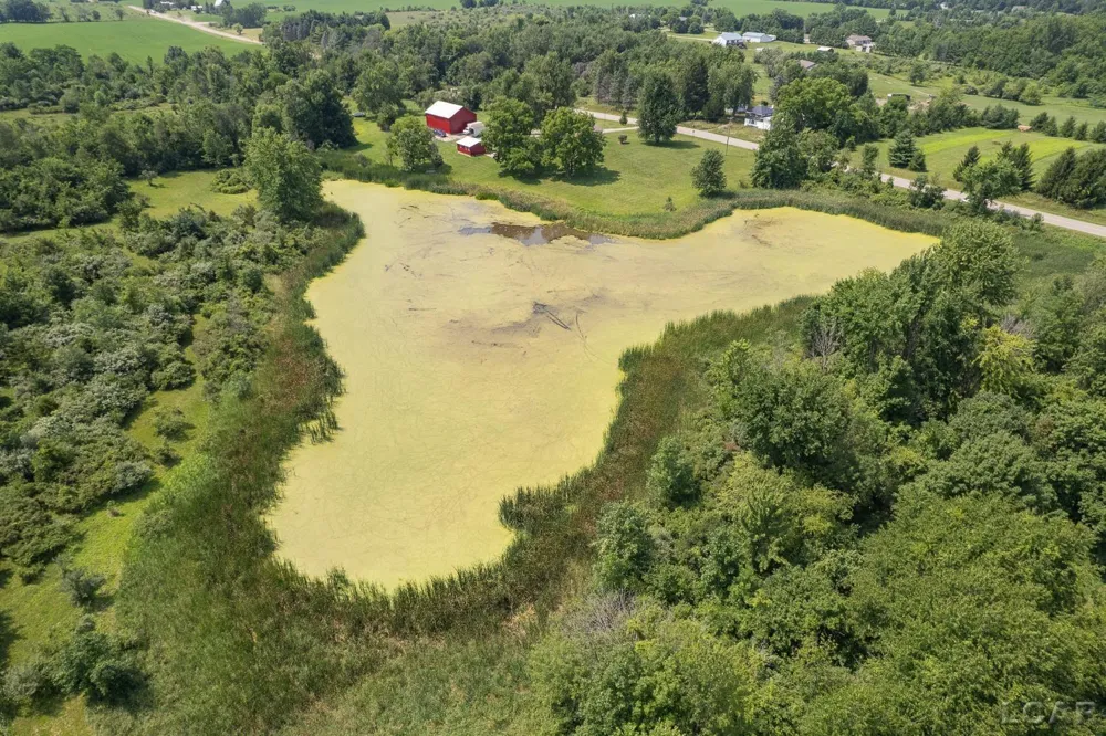 12895 Forrister Road Clayton Village, MI 49235