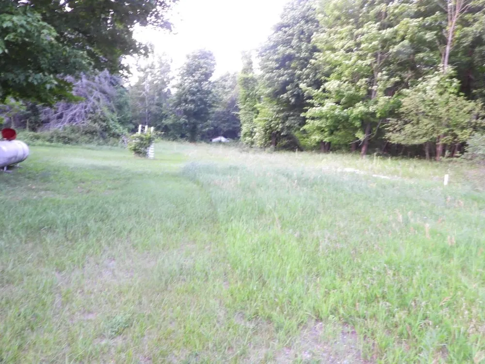 7439 E 22 1/2 ROAD Cedar Creek Township, MI 49663