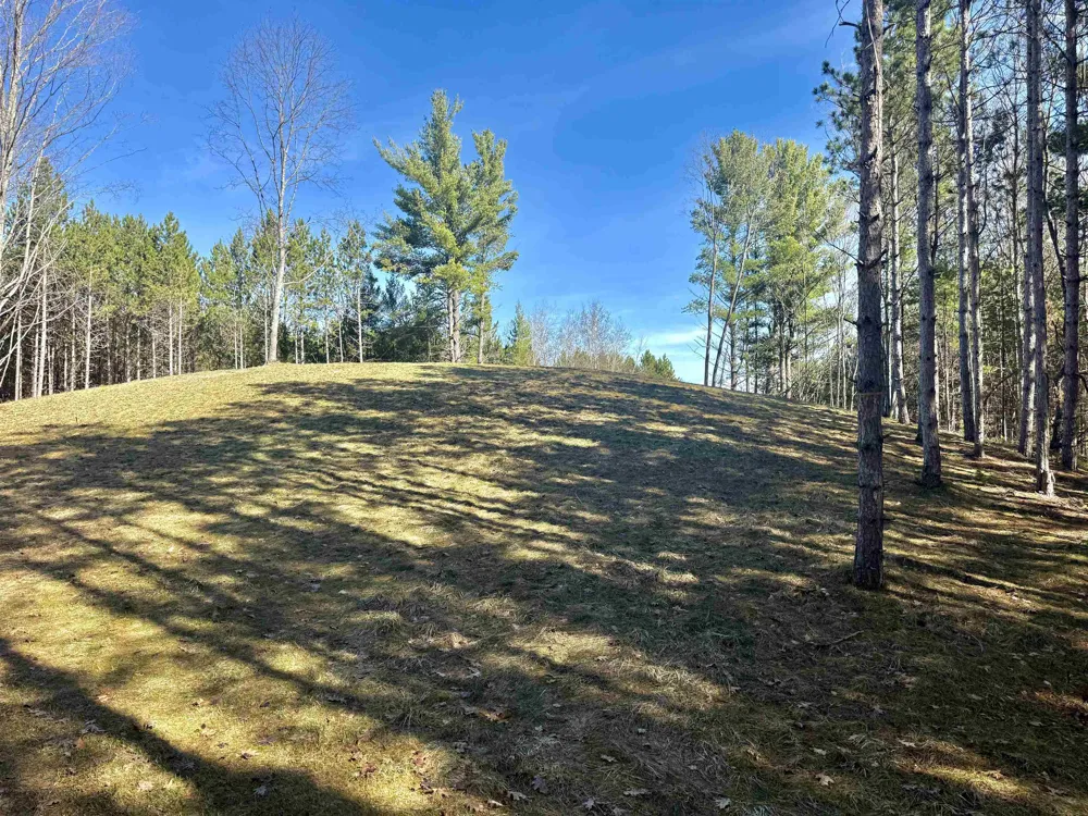 3041 Dockery Road, Nw Kalkaska Township, MI 49690