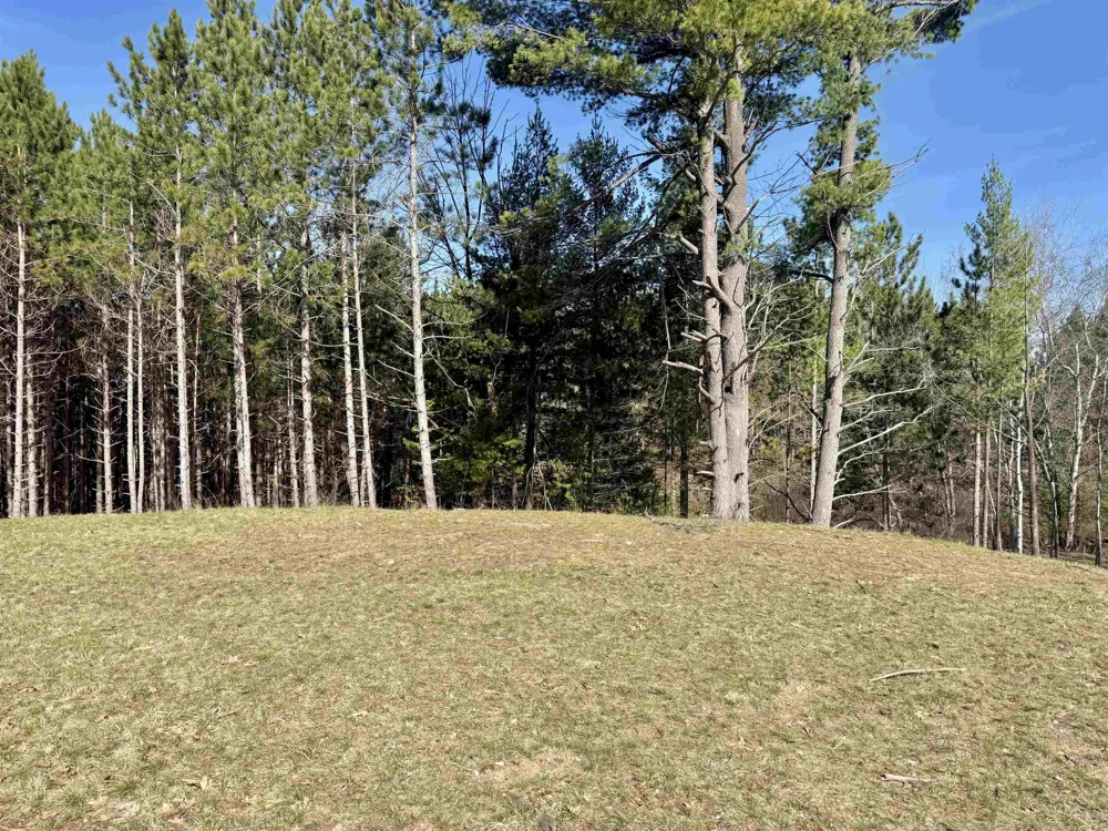 3041 Dockery Road, Nw Kalkaska Township, MI 49690