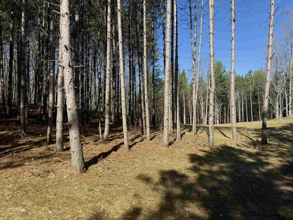 3041 Dockery Road, Nw Kalkaska Township, MI 49690
