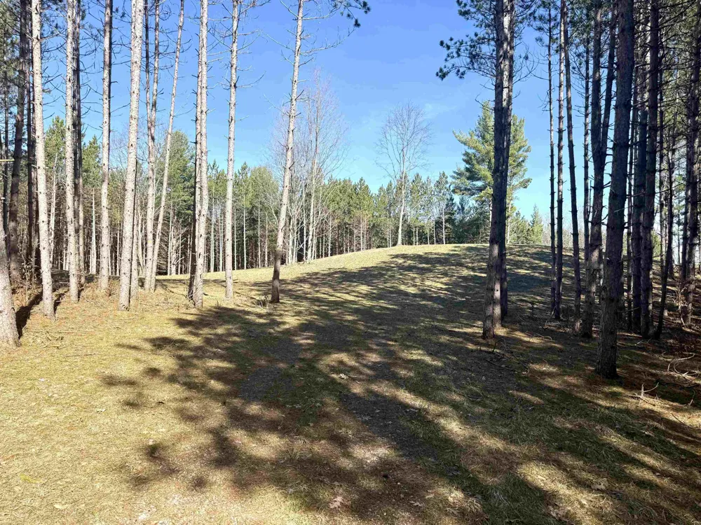 3041 Dockery Road, Nw Kalkaska Township, MI 49690