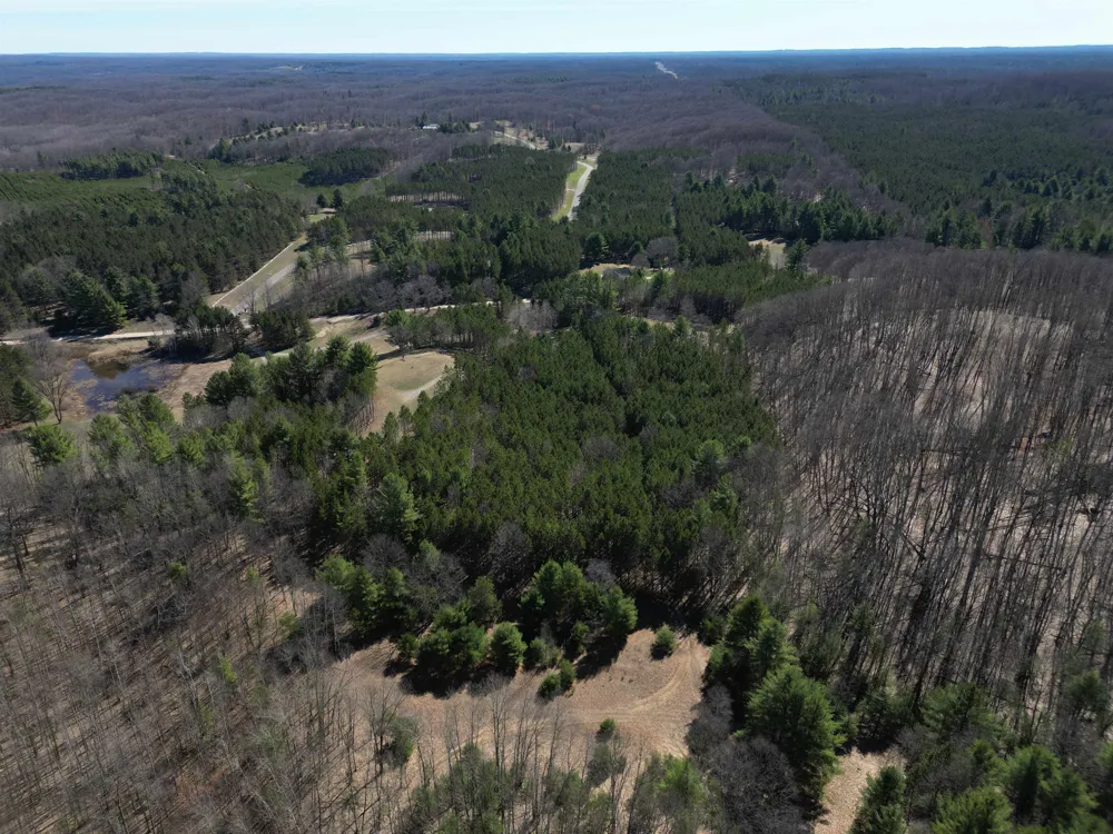 3041 Dockery Road, Nw Kalkaska Township, MI 49690