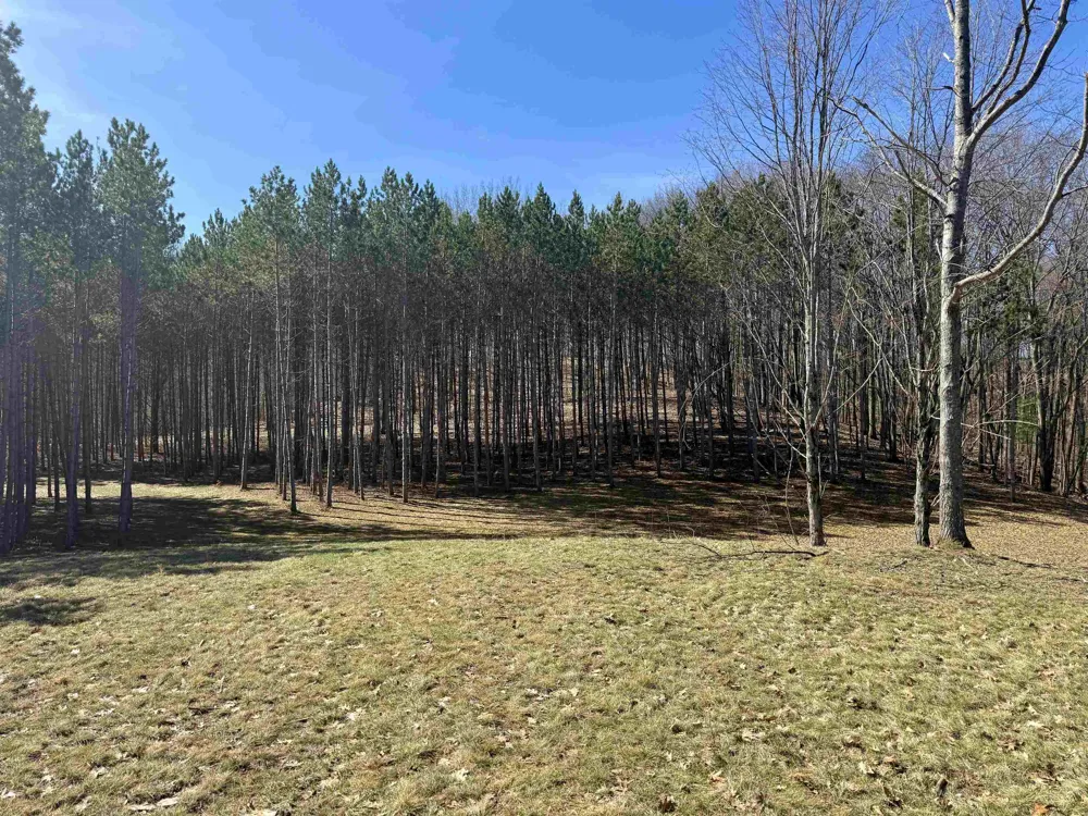 3041 Dockery Road, Nw Kalkaska Township, MI 49690