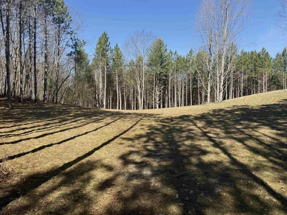 3041 Dockery Road, Nw Kalkaska Township, MI 49690