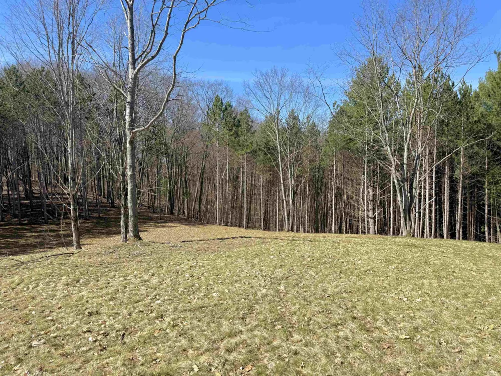 3041 Dockery Road, Nw Kalkaska Township, MI 49690