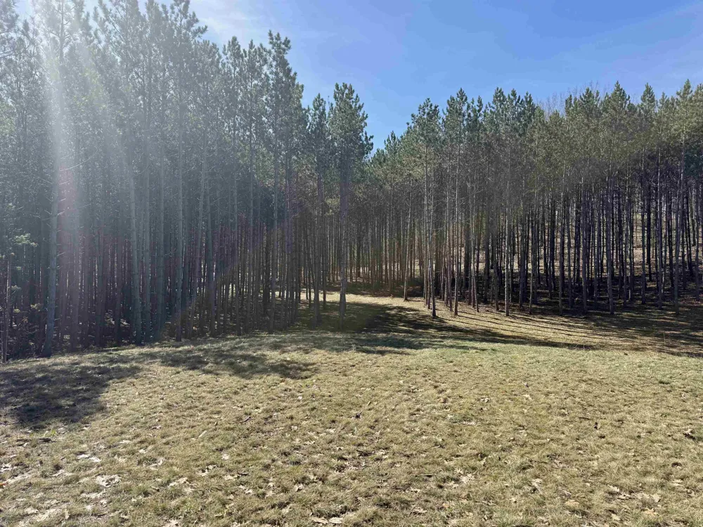 3041 Dockery Road, Nw Kalkaska Township, MI 49690