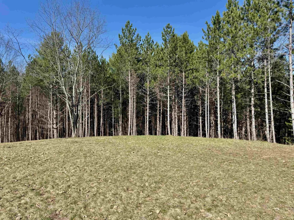 3041 Dockery Road, Nw Kalkaska Township, MI 49690