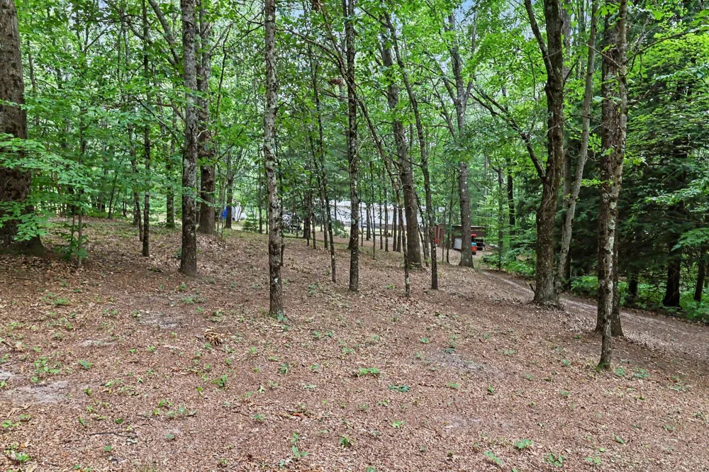 9196 Ruth Drive Colfax Township, MI 49402