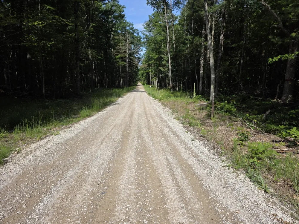 9196 Ruth Drive Colfax Township, MI 49402