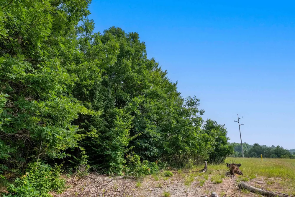 996 Motz Road SW Kalkaska Township, MI 49646