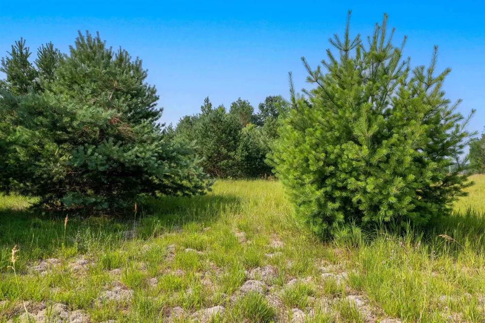 996 Motz Road SW Kalkaska Township, MI 49646