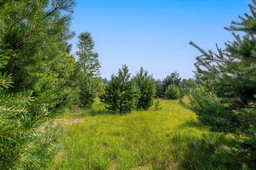 996 Motz Road SW Kalkaska Township, MI 49646
