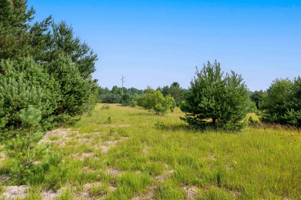996 Motz Road SW Kalkaska Township, MI 49646