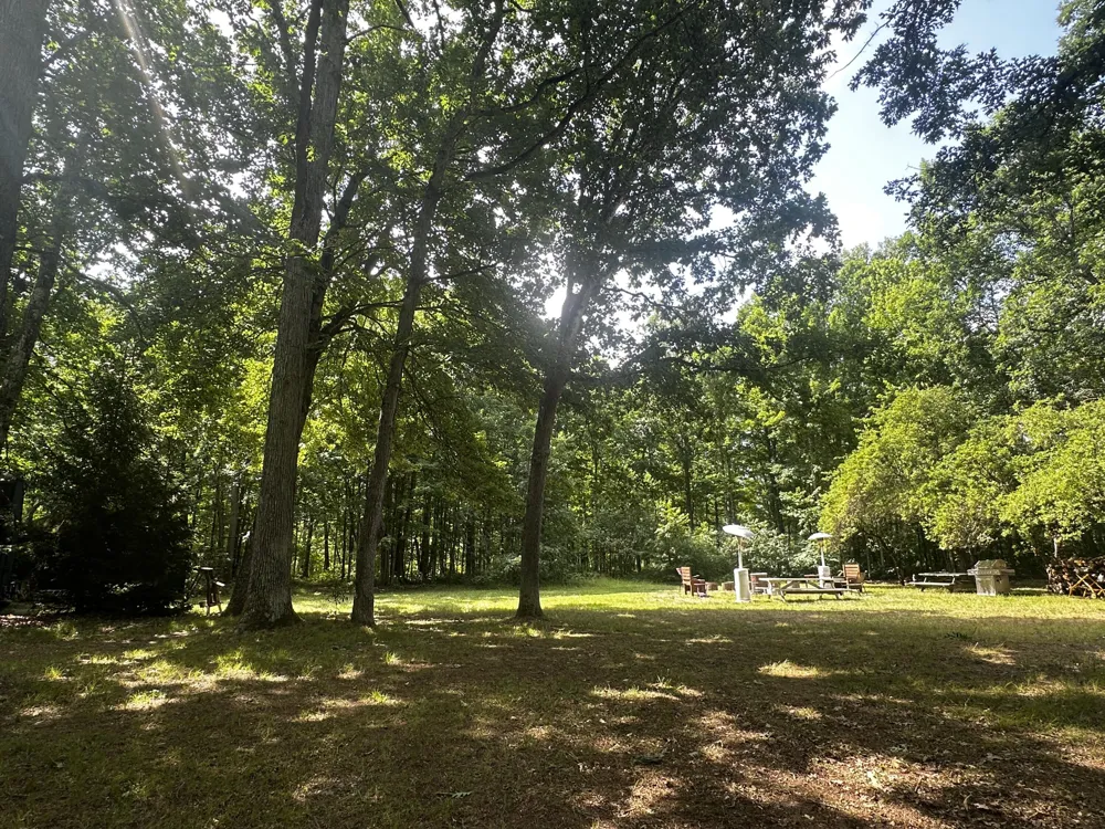 11384 Irons Road Eden Township, MI 49644