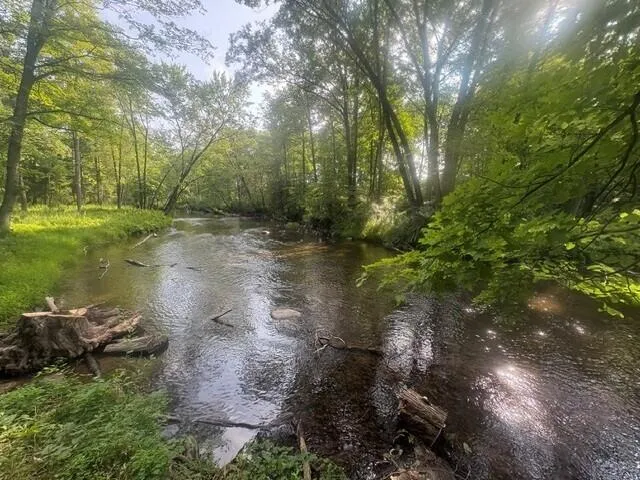 14150 Birch Lane Middle Branch Township, MI 49665