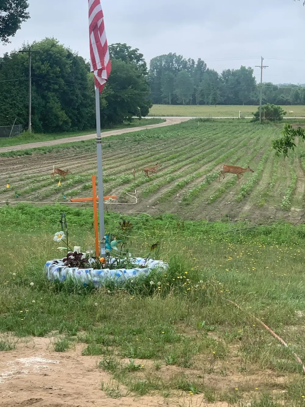 2637 17 Mile Road Tyrone Township, MI 49330
