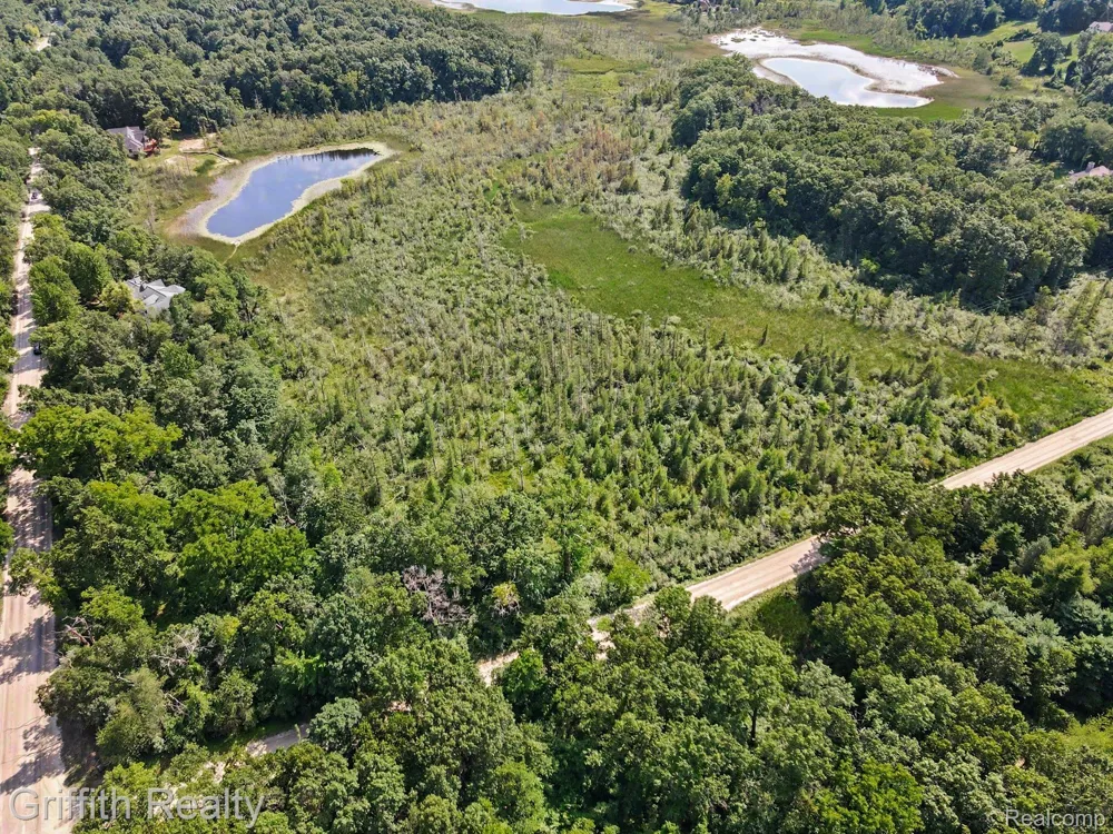 Bauer Road Genoa Township, MI 48116