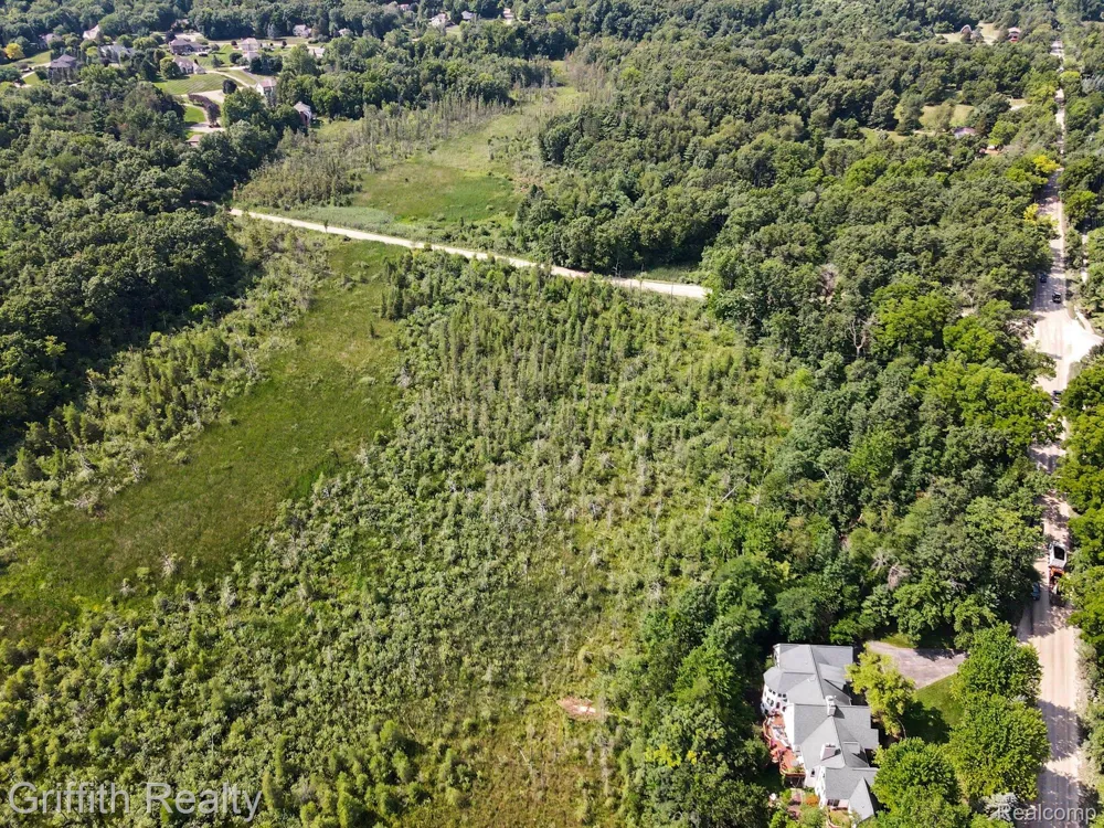Bauer Road Genoa Township, MI 48116