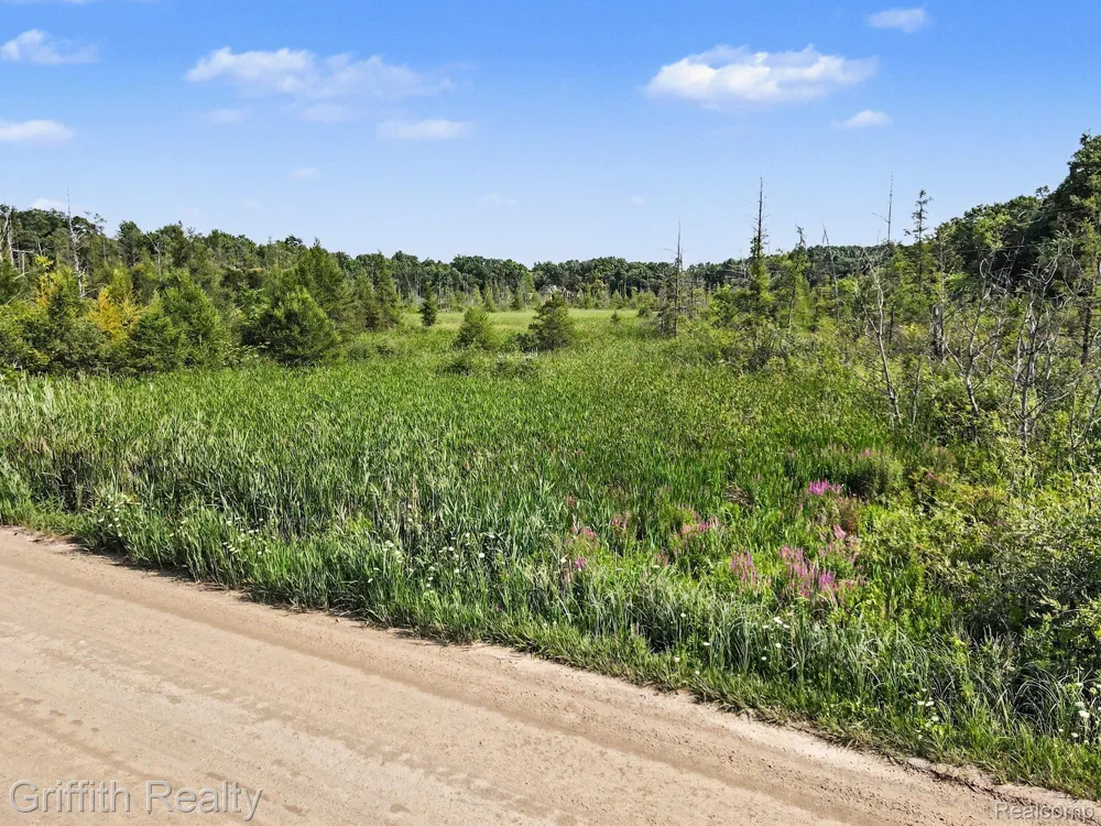 Bauer Road Genoa Township, MI 48116