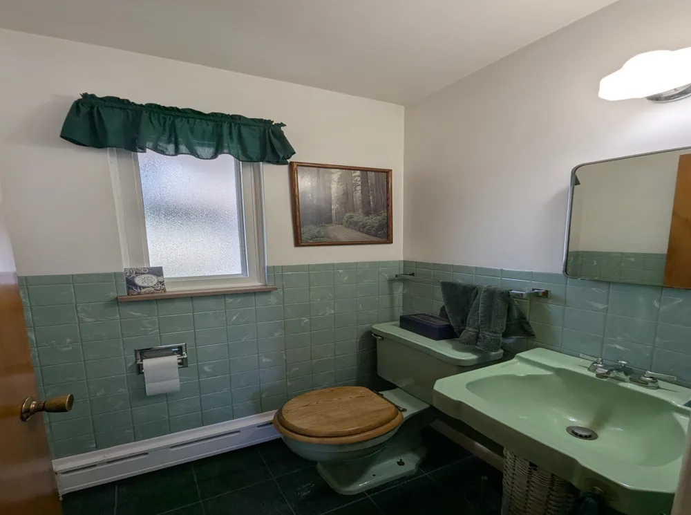 444 Wilber Road Baldwin Township, MI 48763