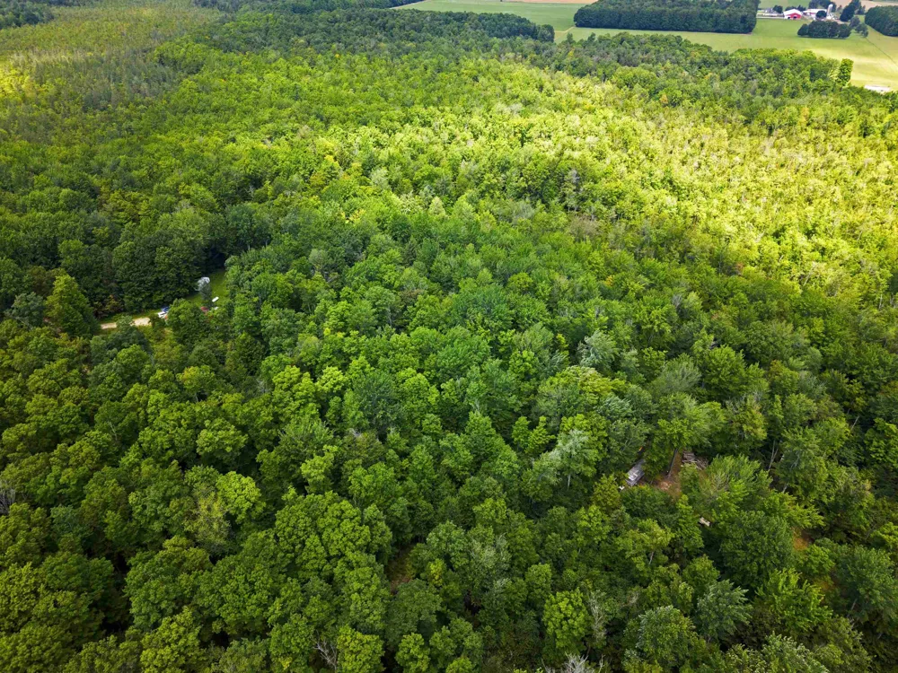 5333 SE Wintergreen Trail Excelsior Township, MI 49646