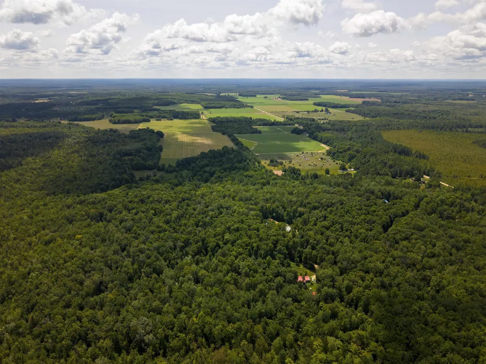 5333 SE Wintergreen Trail Excelsior Township, MI 49646