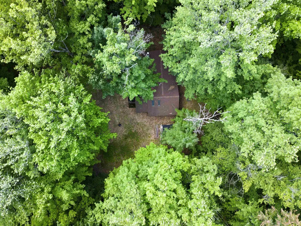 5333 SE Wintergreen Trail Excelsior Township, MI 49646