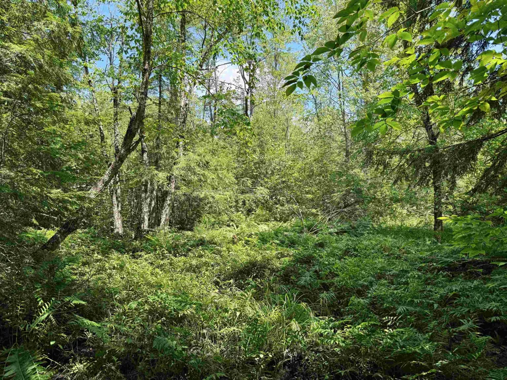 5333 SE Wintergreen Trail Excelsior Township, MI 49646