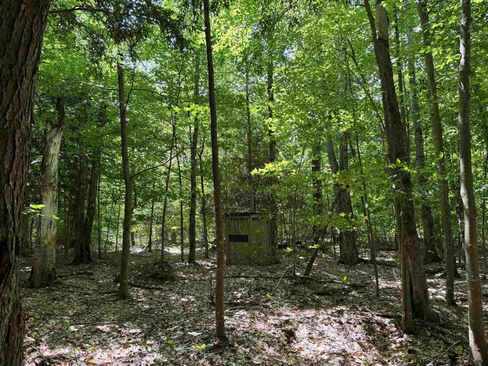 5333 SE Wintergreen Trail Excelsior Township, MI 49646