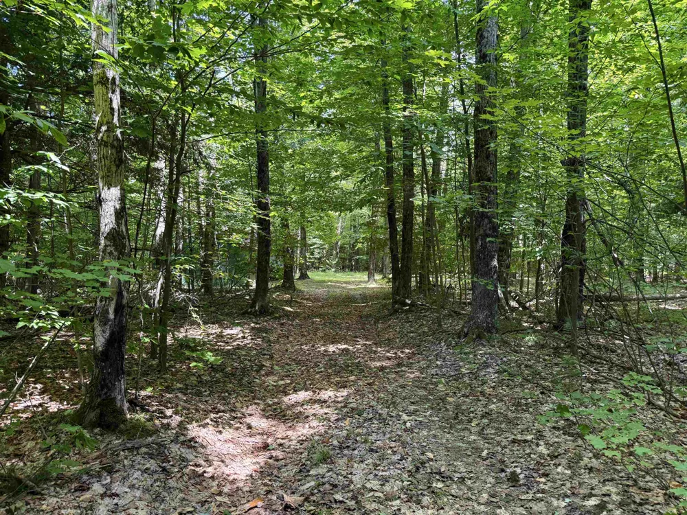 5333 SE Wintergreen Trail Excelsior Township, MI 49646