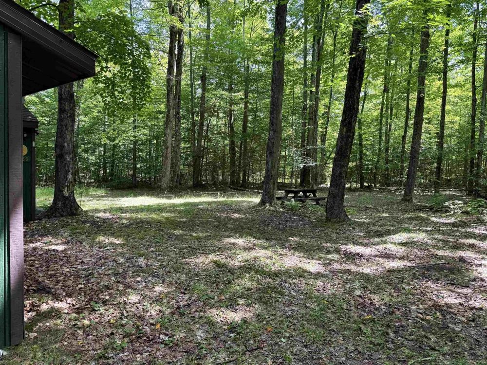 5333 SE Wintergreen Trail Excelsior Township, MI 49646