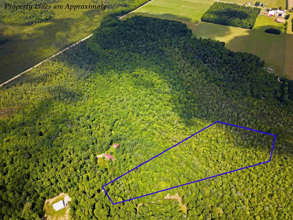 5333 SE Wintergreen Trail Excelsior Township, MI 49646