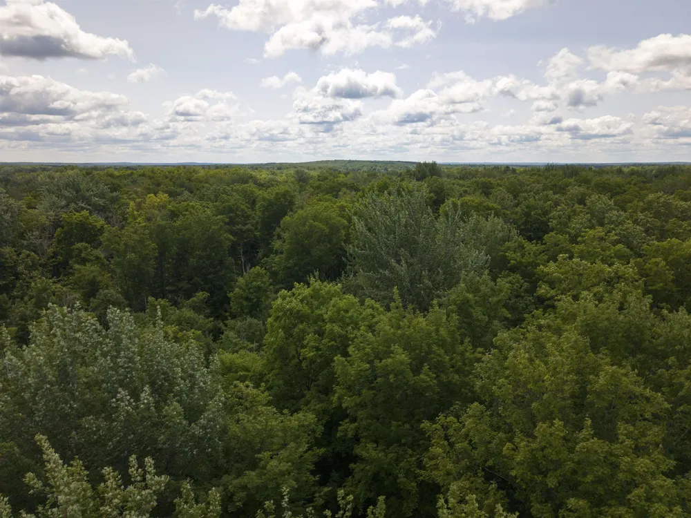 5333 SE Wintergreen Trail Excelsior Township, MI 49646