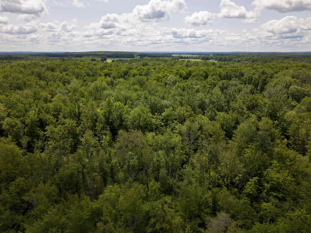 5333 SE Wintergreen Trail Excelsior Township, MI 49646