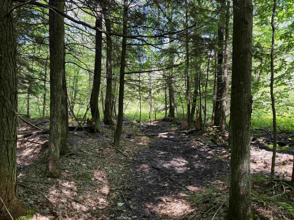 5333 SE Wintergreen Trail Excelsior Township, MI 49646