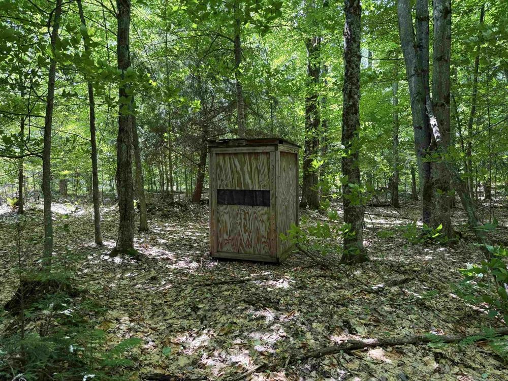 5333 SE Wintergreen Trail Excelsior Township, MI 49646