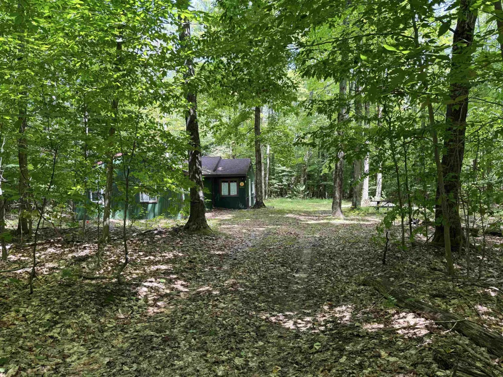 5333 SE Wintergreen Trail Excelsior Township, MI 49646