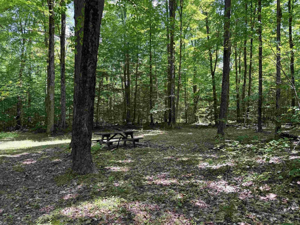 5333 SE Wintergreen Trail Excelsior Township, MI 49646