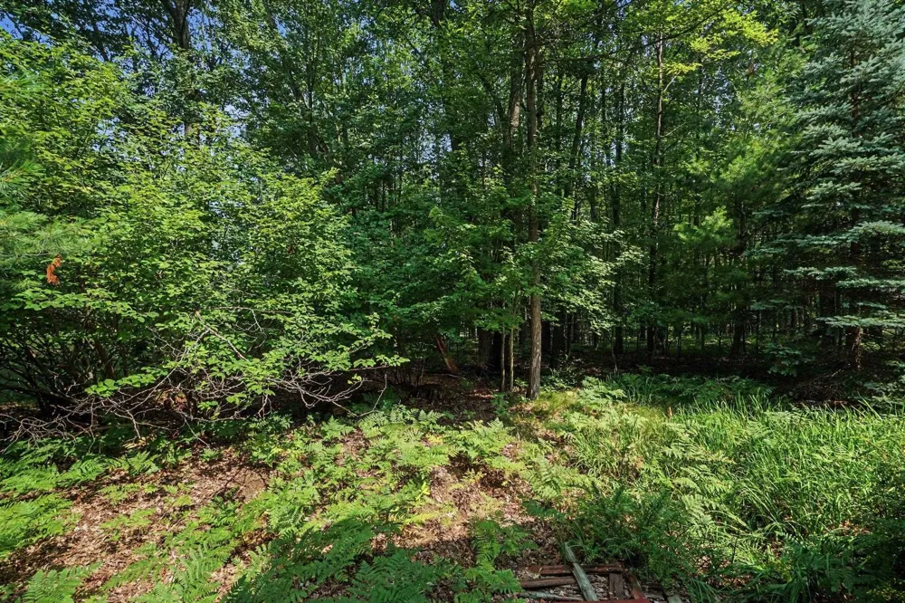 2392 Fern Court Lincoln Township, MI 48622