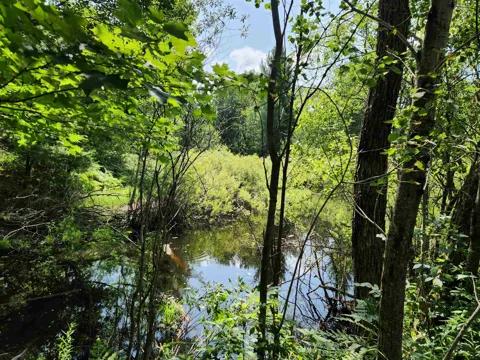 500 East Trail