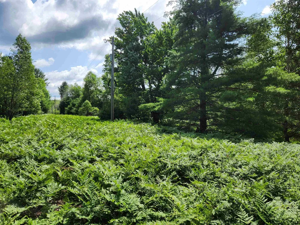 500 East Trail Orange Township, MI 49646