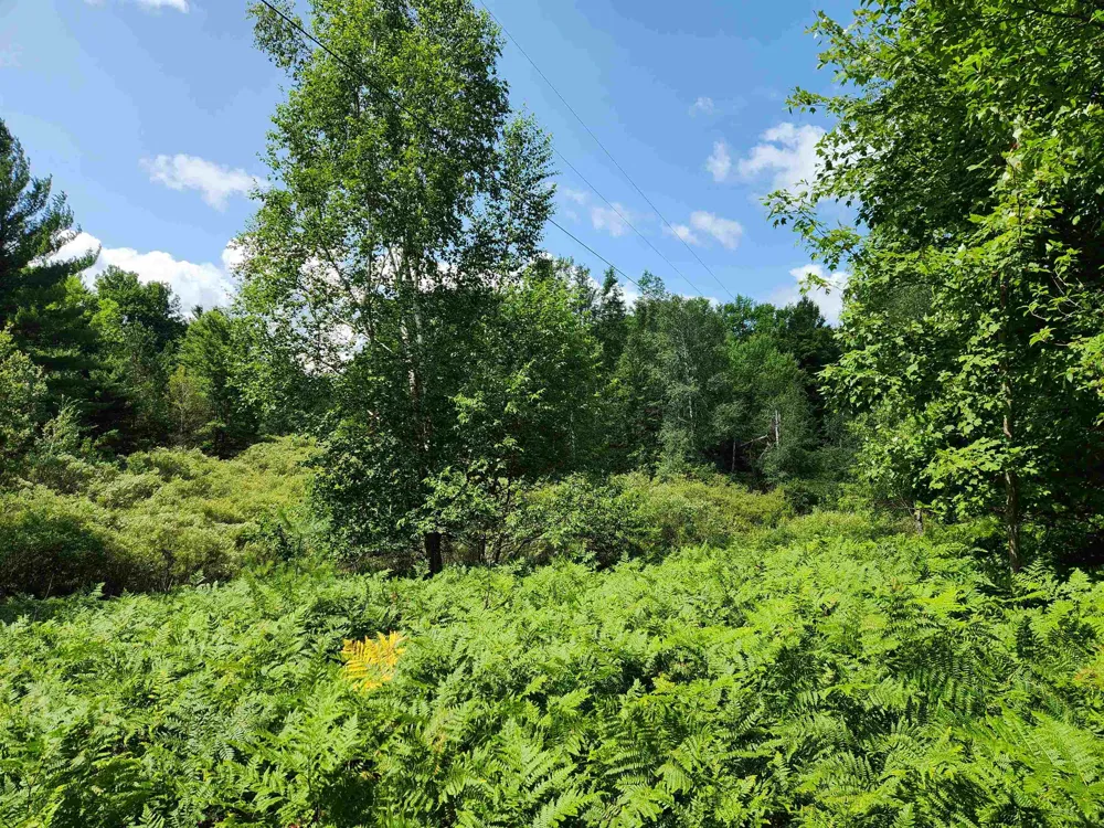 500 East Trail Orange Township, MI 49646