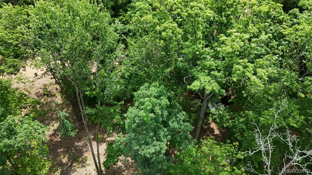 4522 Red Fox Run Lincoln Township, MI 48622